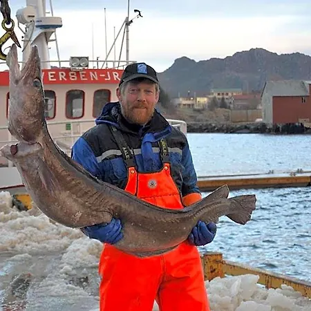Sjostrand Rorbuer リゾート バルスタ