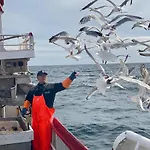 Sjostrand Rorbuer Ballstad