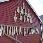 Semesteranläggning (resort) Sjostrand Rorbuer 3*